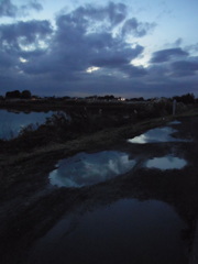 2016/11/26_水溜まりの夕暮れ