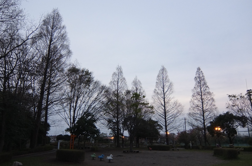 2015/04/12_伊奈町制施行記念公園の夕暮れ