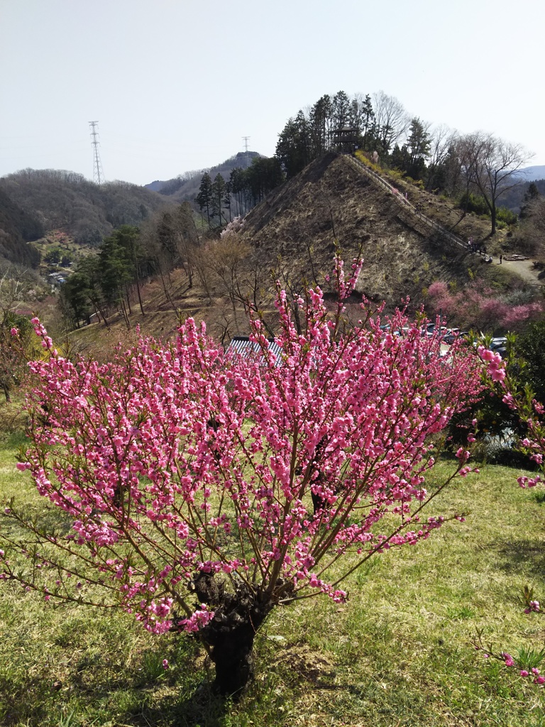 2018/03/25_花桃の郷