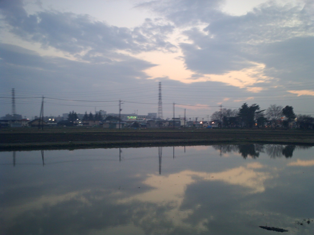 2016/03/19_水田の夕暮れ