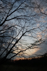 2016/03/26_北本自然観察公園の夕空