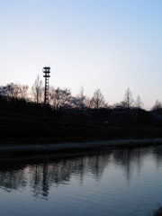 2017/04/02_花の丘農林公苑の夕暮れ