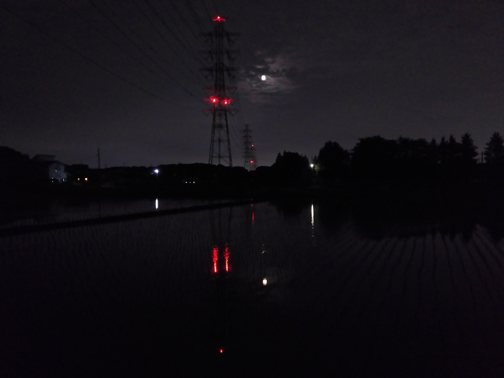 2017/06/11_水田の月夜