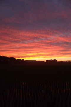 2015/06/27_夕暮れ