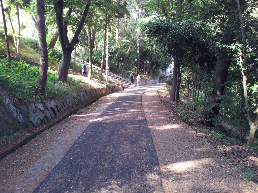 2017/06/18_月明公園