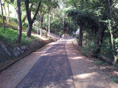2017/06/18_月明公園