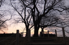 2014/12/31_夕暮れの丸墓山古墳