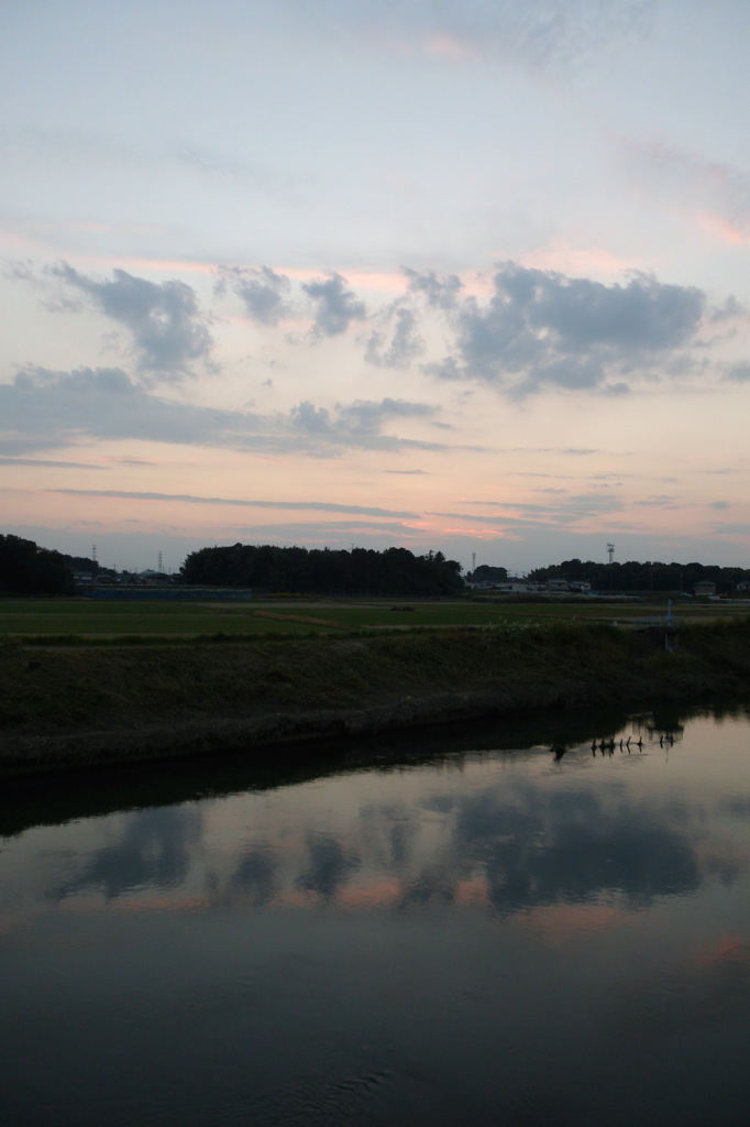 2014/10/19_元荒川の夕暮れ