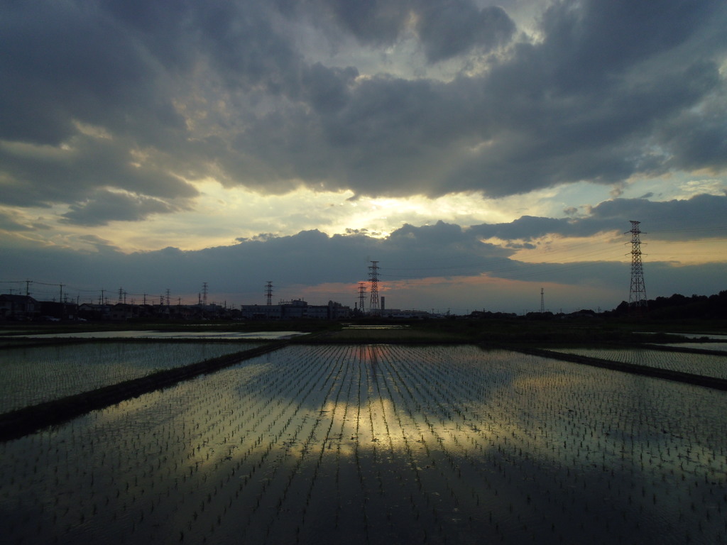 2017/06/10_水田の夕暮れ