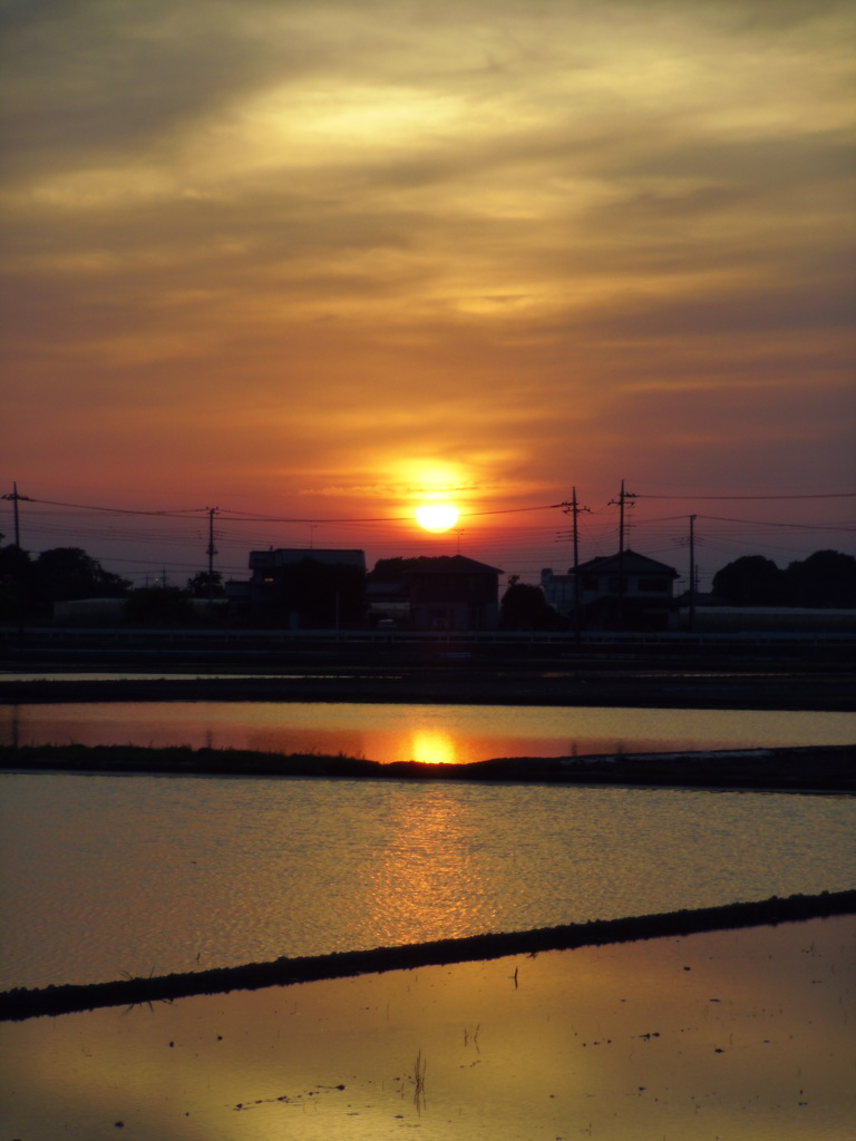 2017/05/21_水田の夕日