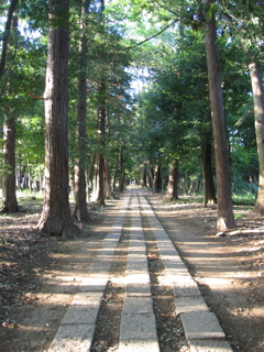 2017/05/04_神明神社参道