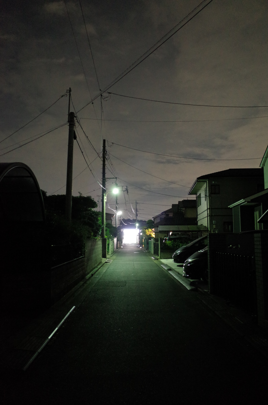 2015/07/19_夜のオアシス