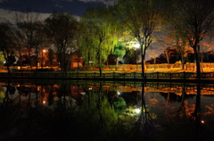 2014/12/06_夜の北本総合公園