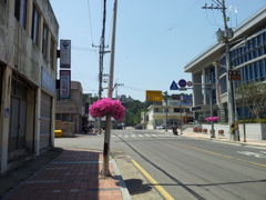 2017/06/18_花の街群山