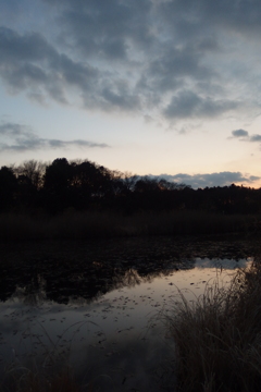 2015/12/31_赤坂沼の夕暮れ