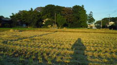 2012/09/15_田んぼの中の石碑