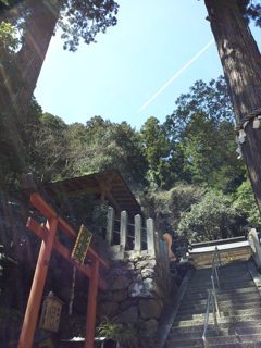 2019/04/13_由岐神社上空の飛行機雲