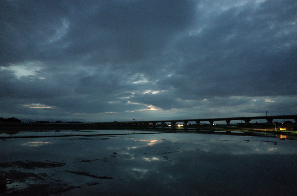 2015/06/21_水田の夕暮れ