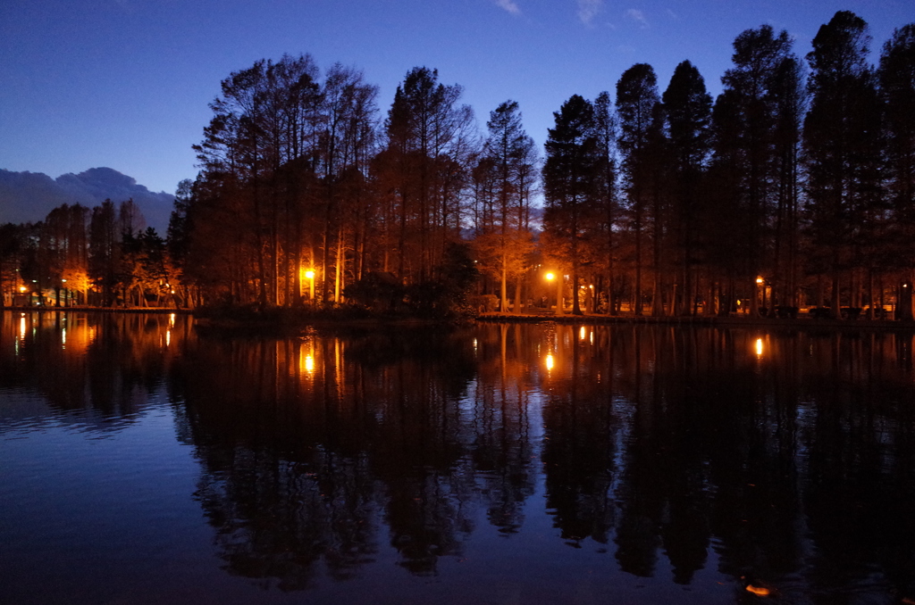 2014/12/14_夕暮れの別所沼公園