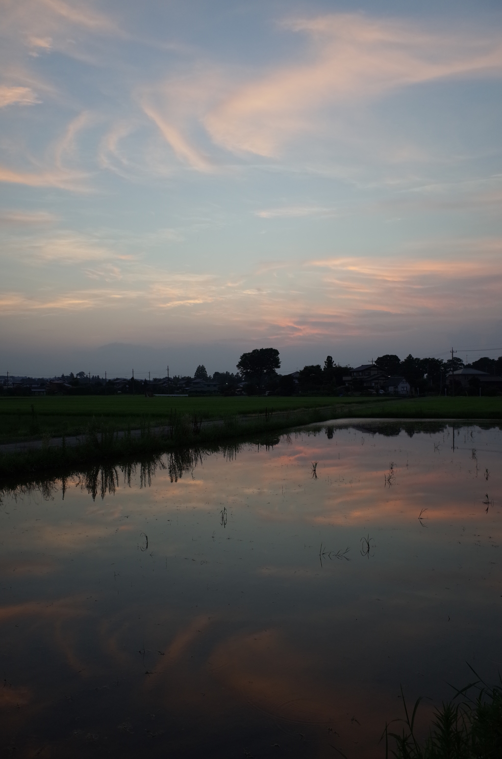 2015/07/25_水田の夕暮れ