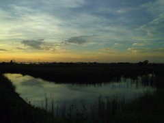 2017/07/02_溜め池の夕暮れ