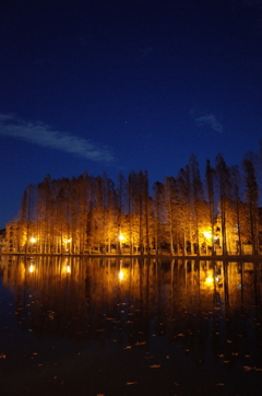 2014/12/14_夕暮れの別所沼公園