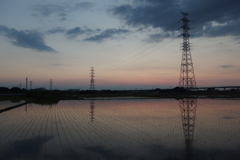 2016/06/05_水田の夕暮れ