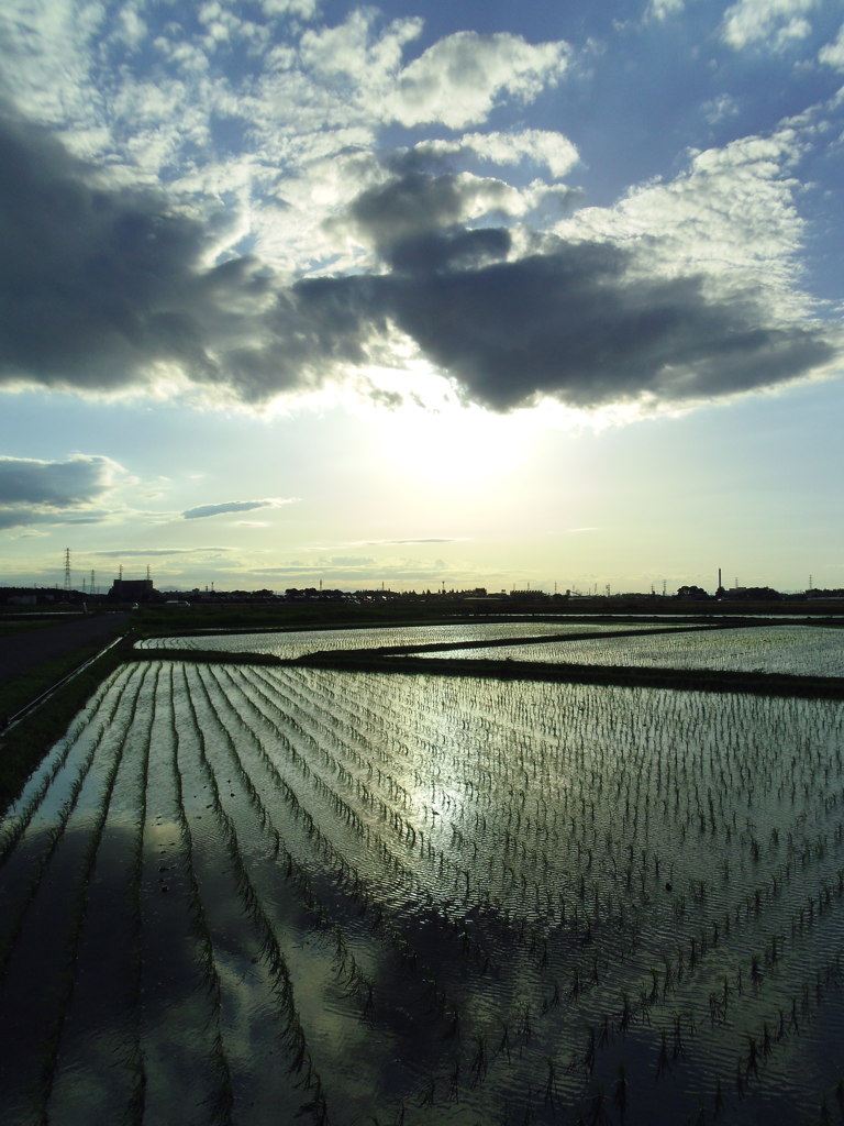 2017/06/04_水田に雲