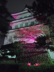 2016/10/10_ピンクリボンの夜の忍城