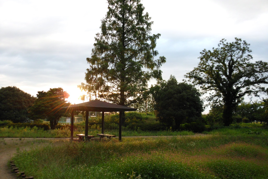 2014/06/29_夕暮れの伊奈町制施行記念公園