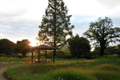 2014/06/29_夕暮れの伊奈町制施行記念公園