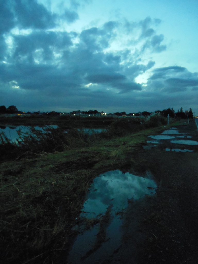 2016/11/26_水溜まりの夕暮れ