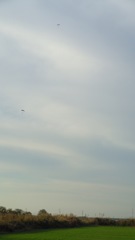 2012/11/25_落下傘