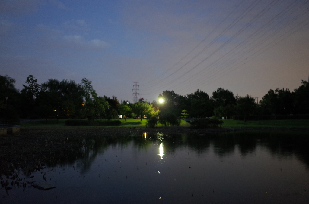 2015/10/04_夕暮れの平成の森公園