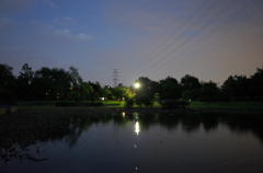 2015/10/04_夕暮れの平成の森公園