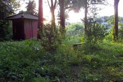 2015/05/10_夕暮れの辯才天堂