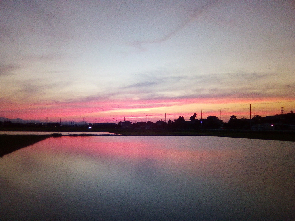 2018/06/24_水田の夕暮れ