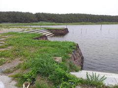 2018/07/15_せばと川