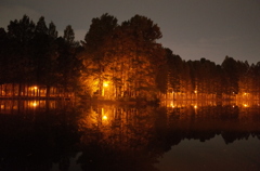 2014/11/02_夜の別所沼公園