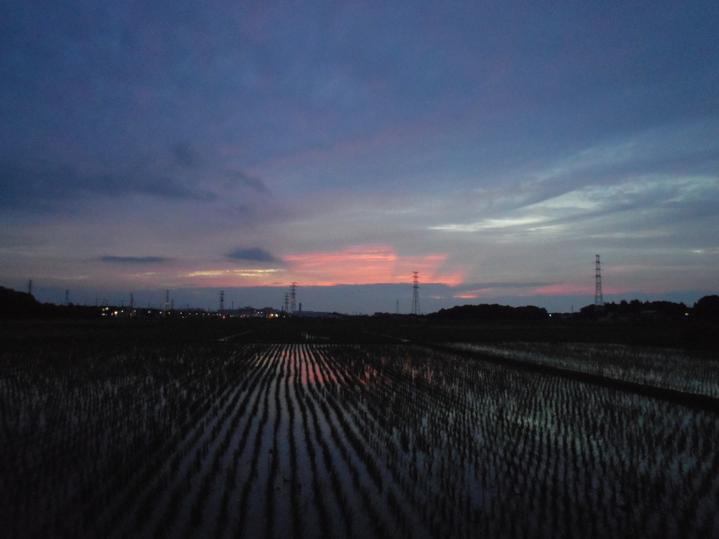 2017/06/25_水田の夕暮れ