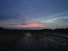 2017/06/25_水田の夕暮れ