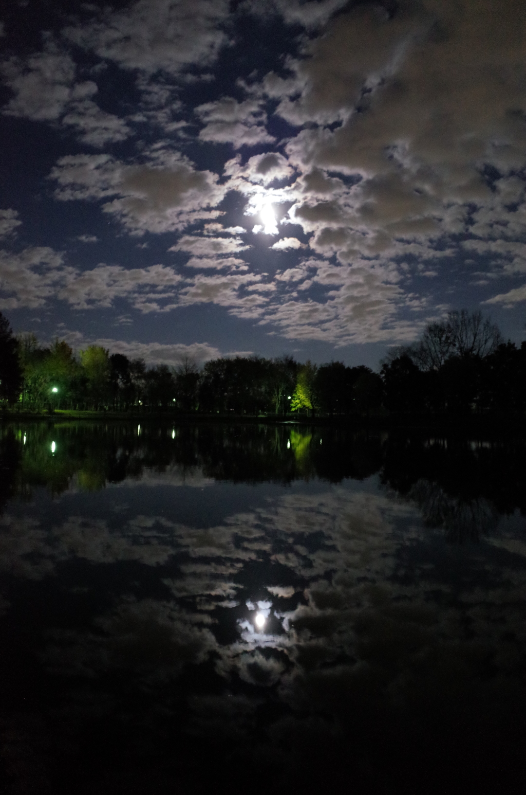 2014/12/06_月夜の北本総合公園