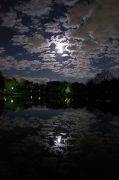 2014/12/06_月夜の北本総合公園
