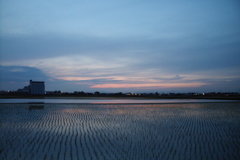 2016/06/11_水田の夕暮れ