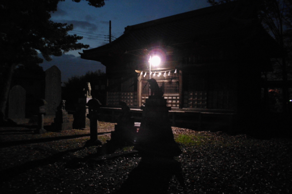 2014/11/23_夕暮れの氷川神社