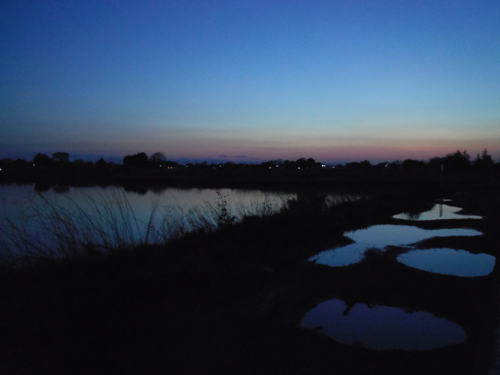 2017/04/15_水溜まりと溜め池の夕暮れ