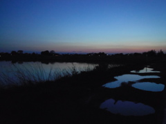 2017/04/15_水溜まりと溜め池の夕暮れ