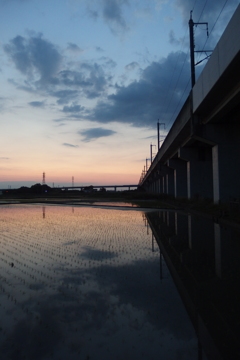 2016/06/05_水田の夕暮れ