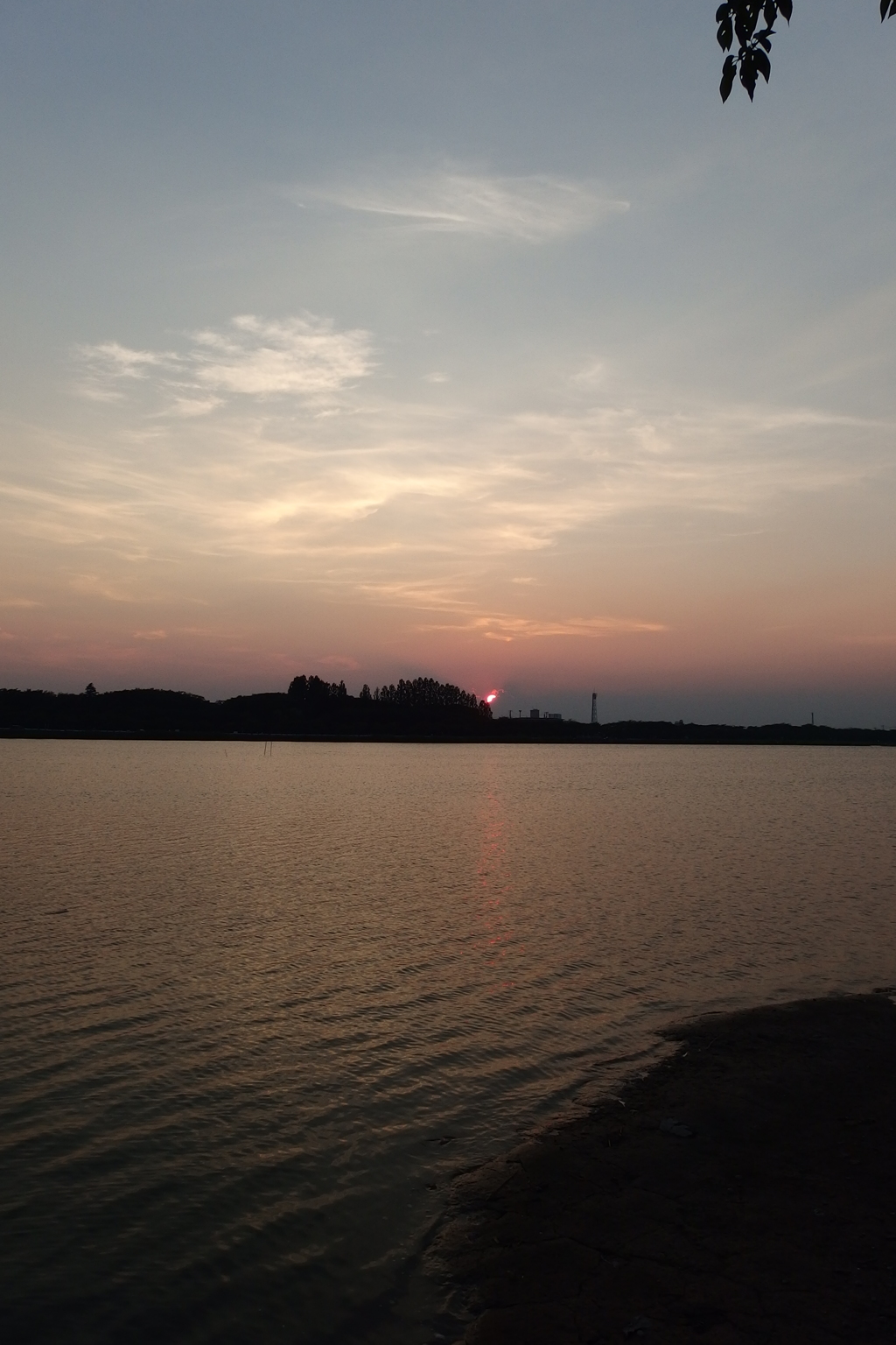 2015/07/26_伊佐沼の夕日