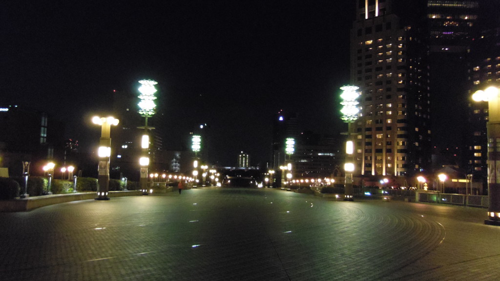 2014/01/01_夜の夢の大橋